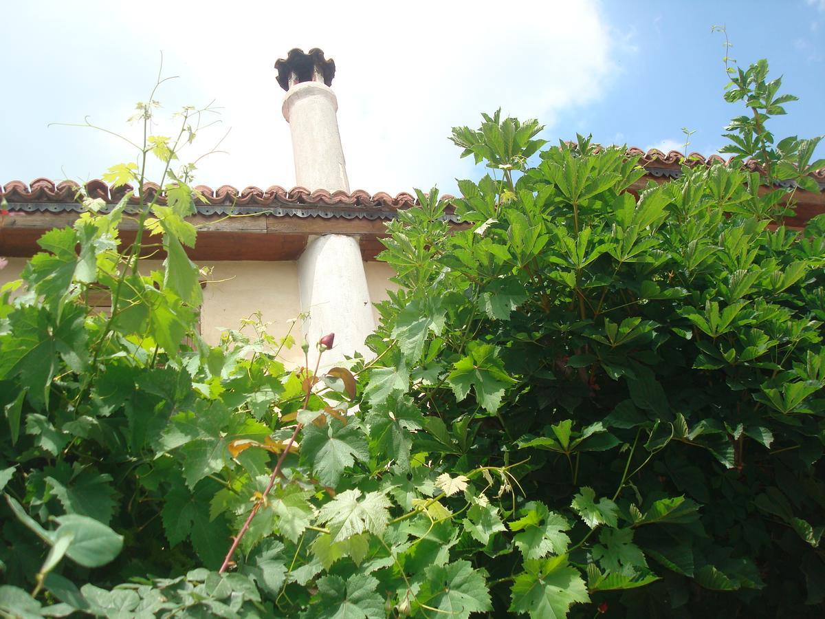 Oikia Alexandrou Traditional Inn Arnaia Exterior photo